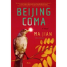 Beijing Coma