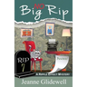 No Big Rip (A Ripple Effect Mystery, Book 7)