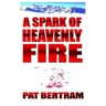 A Spark of Heavenly Fire