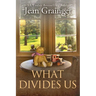 What Divides Us: The Kilteegan Bridge Story - Book 2