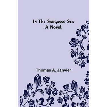 In the Sargasso Sea A Novel