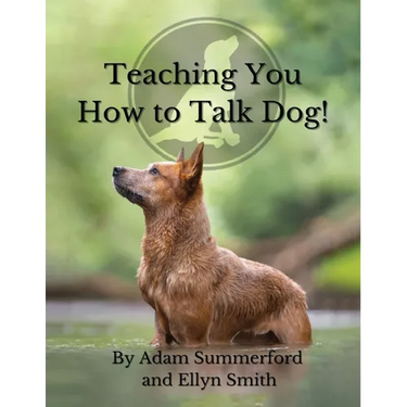 Teaching You How To Talk Dog!