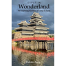 Expat in Wonderland: The surprising Realities of Living in Japan