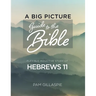 A Big Picture Guide to the Bible: A Flexible Inductive Study of Hebrews 11