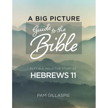 A Big Picture Guide to the Bible: A Flexible Inductive Study of Hebrews 11