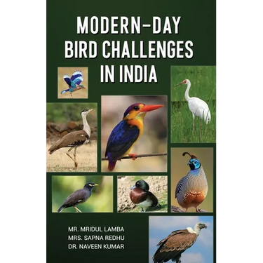 Modern-Day Bird Challenges in India