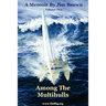 Among the Multihulls: Volume Two