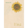 Ilse