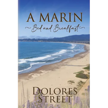 A Marin Bed and Breakfast