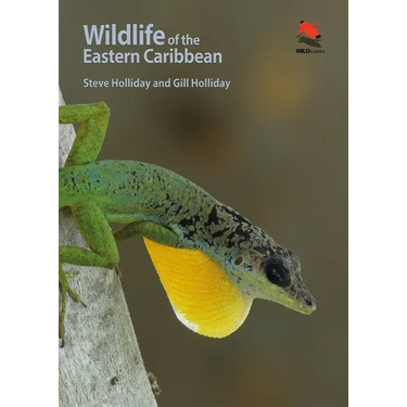 Wildlife of the Eastern Caribbean