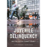 Juvenile Delinquency: Why Do Youths Commit Crime?