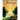 Journey