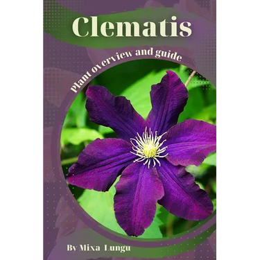 Clematis: Plant overview and guide