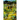 Search