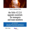 Oracle E-Business Suite: the little r12.2.8 upgrade essentials for managers and team members