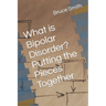 What is Bipolar Disorder? Putting the Pieces Together