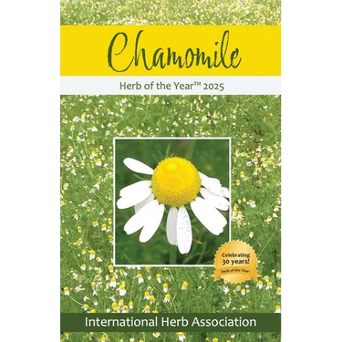 Chamomile: Herb of the Year 2025