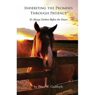 Inheriting the Promises Through Patience: It's Always Darkest Before the Dawn