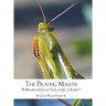 The Praying Mantis: "A Manifestation of God, Come to Earth"