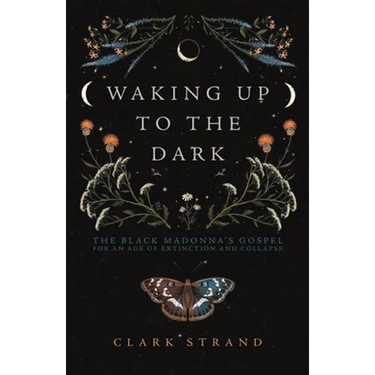 Waking Up to the Dark: The Black Madonna's Gospel for an Age of Extinction and Collapse