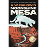 Moonshine Mesa