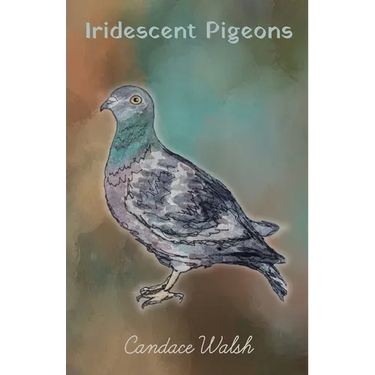 Iridescent Pigeons
