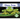 Glass Frog