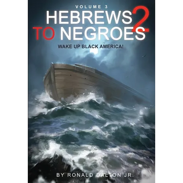 Hebrews to Negroes 2 Volume 3: Wake Up Black America