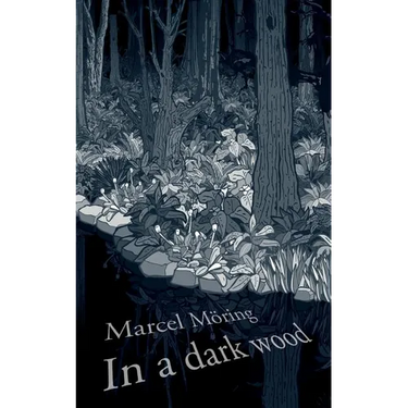 In A Dark Wood