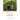 Bomarzo