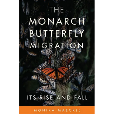 The Monarch Butterfly Migration: Its Rise and Fall