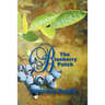 The Blueberry Patch