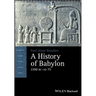 A History of Babylon, 2200 BC - AD 75