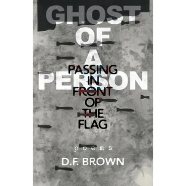 Ghost of a Person Passing in Front of the Flag: Poems