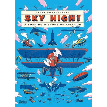 Sky High!: A Soaring History of Aviation