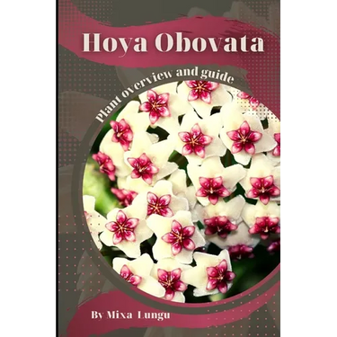 Hoya Obovata: Plant overview and guide