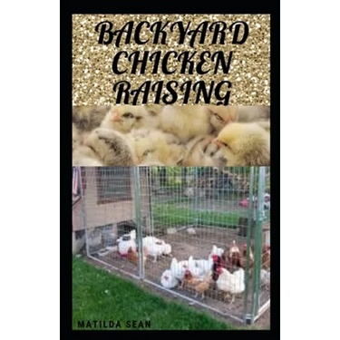 Backyard Chicken Raising: Complete guides on how to raise healthy chickens