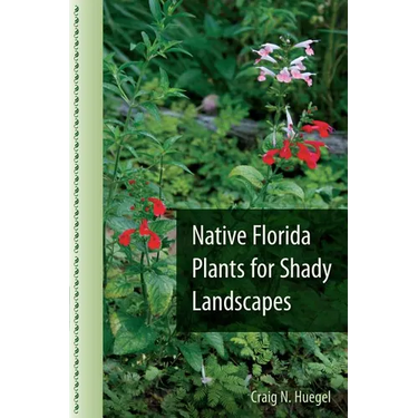 Native Florida Plants for Shady Landscapes