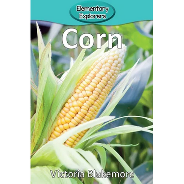 Corn