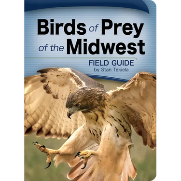 Birds of Prey of the Midwest