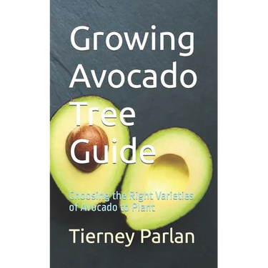 Growing Avocado Tree Guide: Choosing the Right Varieties of Avocado to Plant