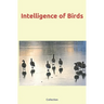 Intelligence of Birds