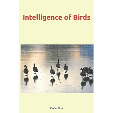 Intelligence of Birds