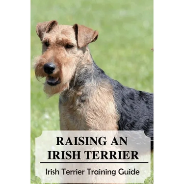 Raising An Irish Terrier: Irish Terrier Training Guide: Best Ways To Exercise Your Irish Terrier?