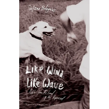 Like Wind, Like Wave