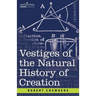 Vestiges of the Natural History of Creation