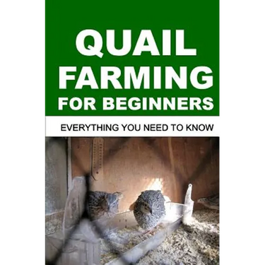 Quail Farming for Beginners: Everything You Need To Know