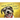 What Kind of Dog is That?