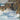 Paul Dougherty: Paintings