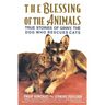 The Blessing of the Animals: True Stories of Ginny, the Dog Who Rescues Cats